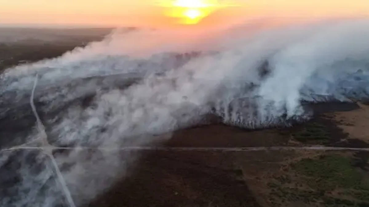 New Forest Wildfire: Firefighters Battle Devastating Heathland Blaze