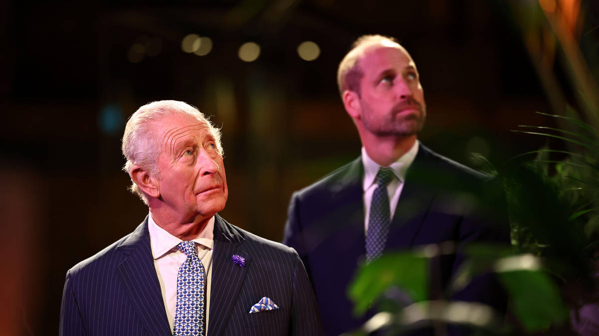 King Charles and Prince William Face £10m Energy Upgrade Bill for Royal Estates