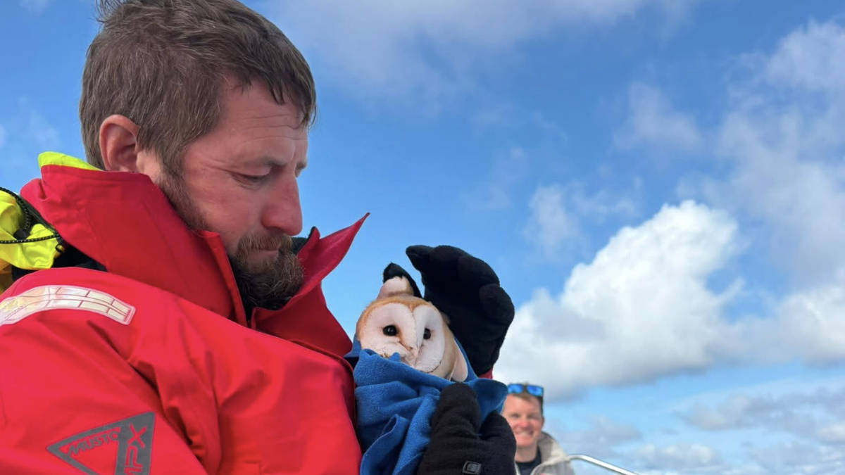 Owl's well that ends well! Sailing crew rescue exhausted owl lost at sea 70 miles from shore