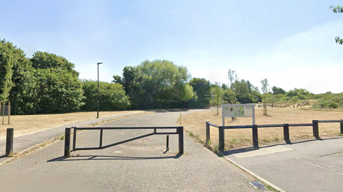 Murder investigation launched after woman's remains found in woodland