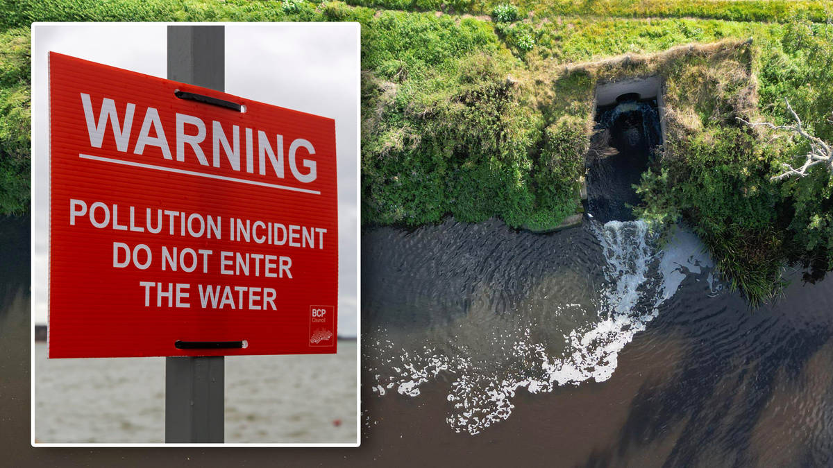 Water firms slammed for surge in the 'most toxic' sewage&hellip;