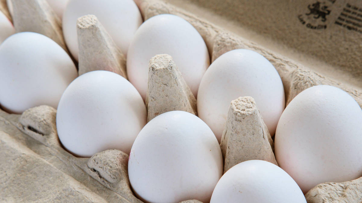 Salmonella cases amid outbreak linked to imported eggs top 500