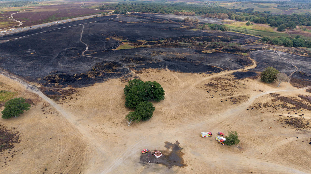 August 2026 ties as world's hottest month on record at 1.65C above pre-industrial baseline
