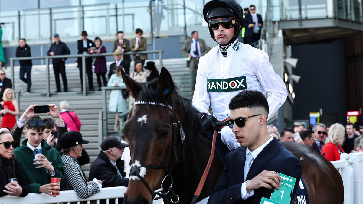 Racing superstar Constitution Hill ruled out of Ascot as dry spell leaves ground ‘too firm’