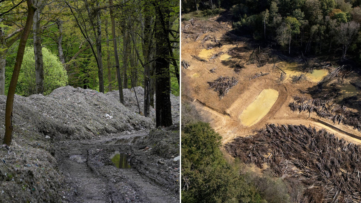 Environment Agency、KentのHoads Woodで4万トンの不法投棄ゴミ撤去を完了