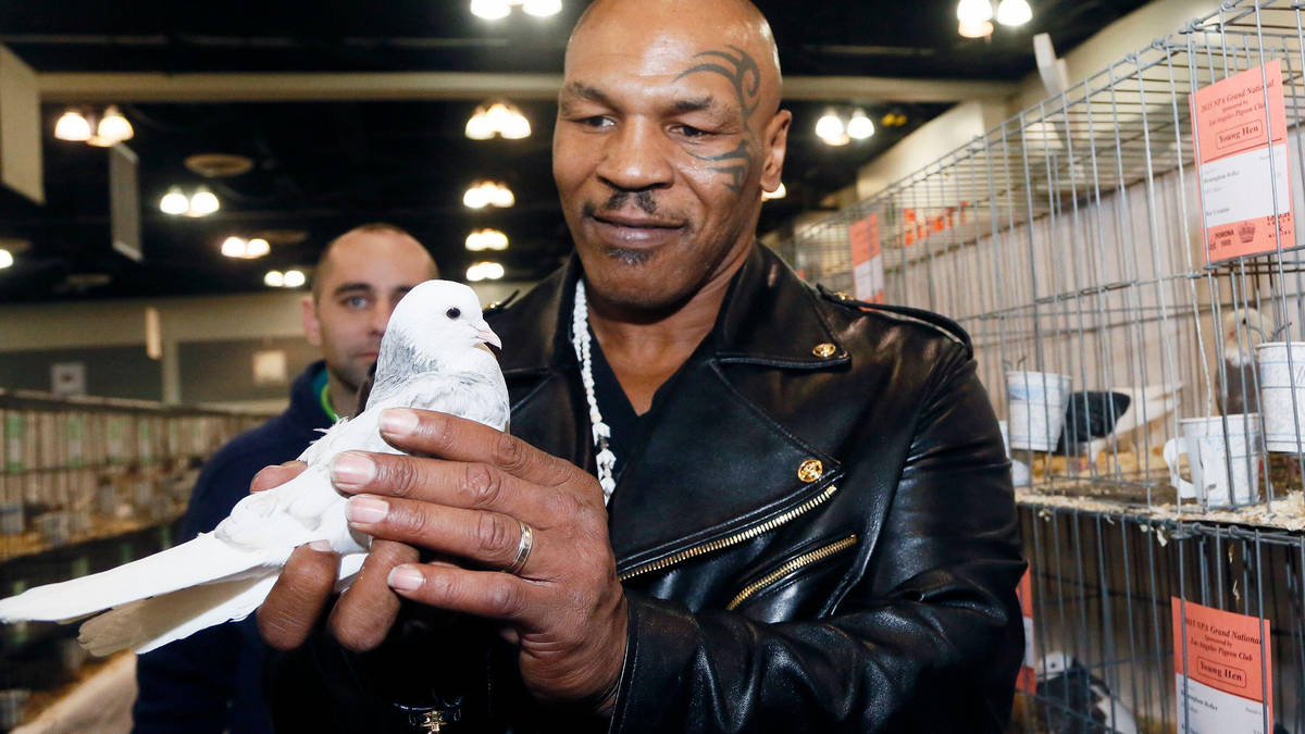 Mike Tyson locked in legal battle after 'refusing to appear on ...