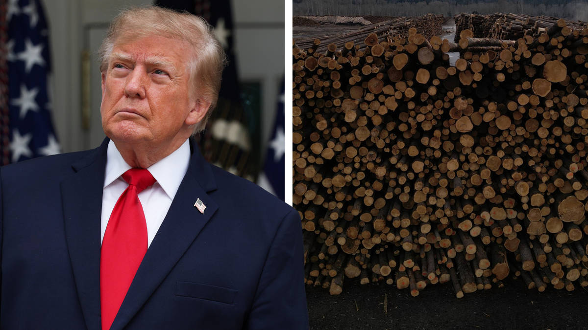 Trump loosens Canada tariffs in bid to help Republican senator seeking re-election in Maine