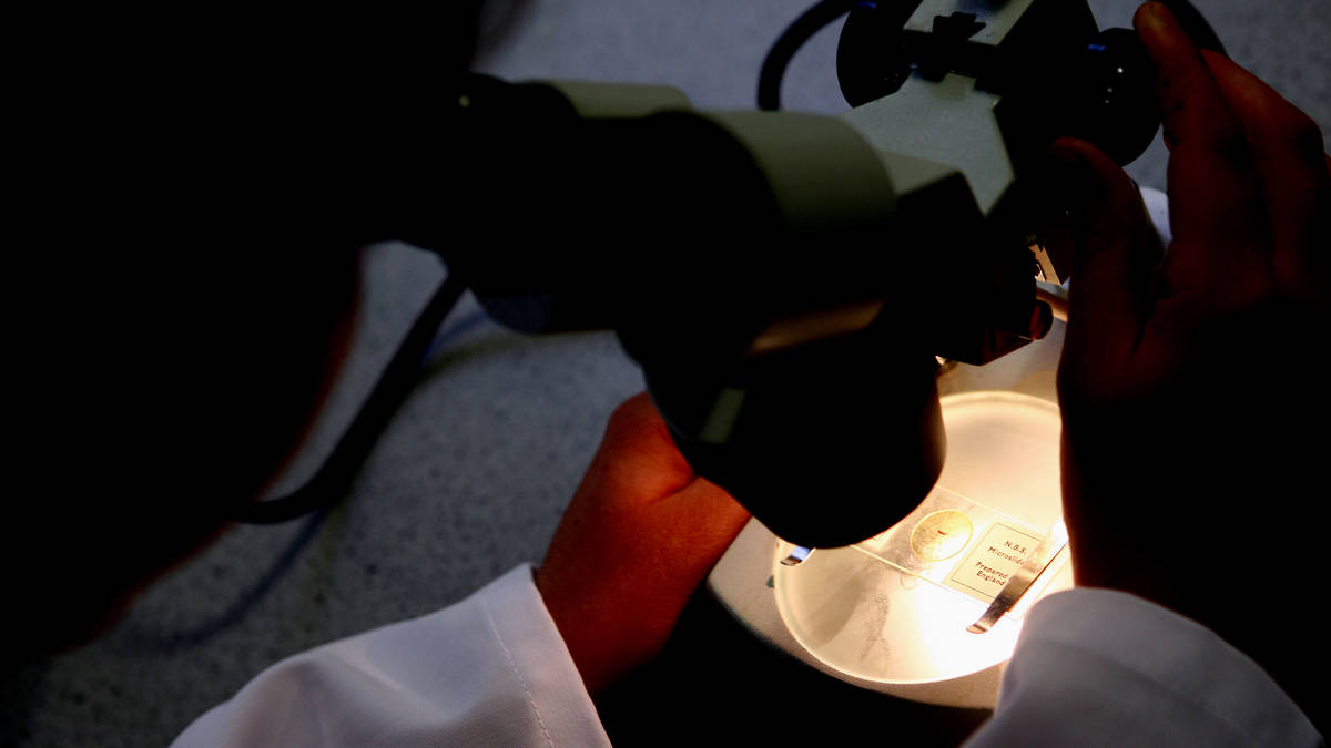 Rare cancer behaves differently depending on where it is found, researchers find in breakthrough