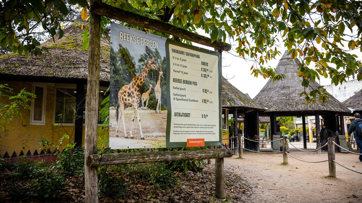 Dutch zookeeper dies after being mauled in leopard enclosure | LBC